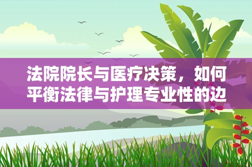 法院院长与医疗决策，如何平衡法律与护理专业性的边界？