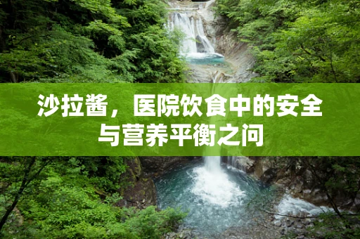 沙拉酱，医院饮食中的安全与营养平衡之问