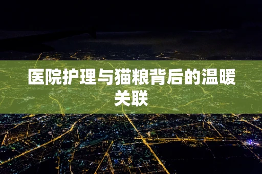 医院护理与猫粮背后的温暖关联