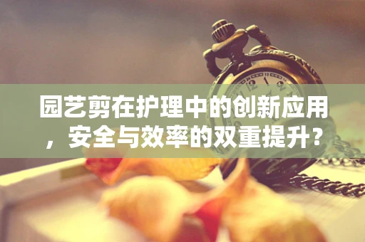 园艺剪在护理中的创新应用，安全与效率的双重提升？