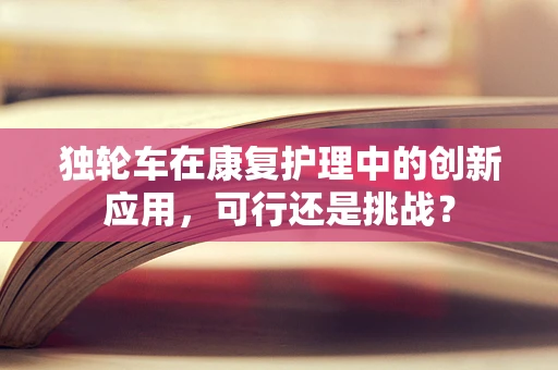 独轮车在康复护理中的创新应用，可行还是挑战？