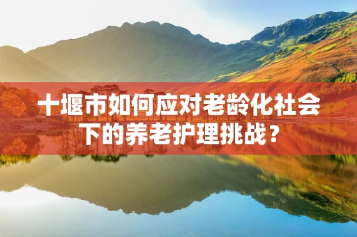 十堰市如何应对老龄化社会下的养老护理挑战？
