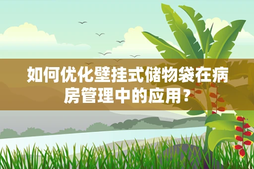 如何优化壁挂式储物袋在病房管理中的应用？