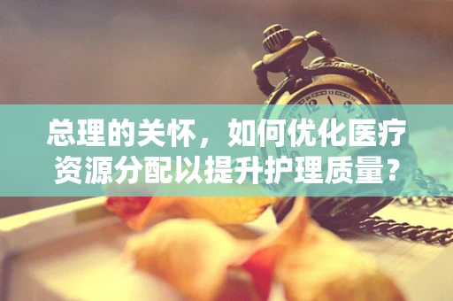 总理的关怀，如何优化医疗资源分配以提升护理质量？