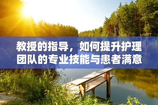 教授的指导，如何提升护理团队的专业技能与患者满意度？