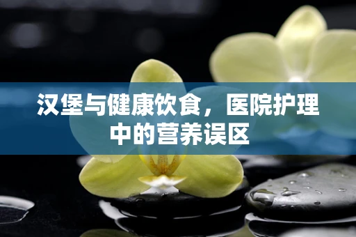 汉堡与健康饮食，医院护理中的营养误区