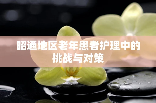 昭通地区老年患者护理中的挑战与对策