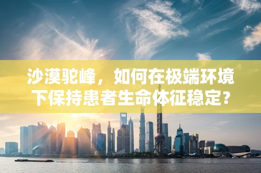沙漠驼峰，如何在极端环境下保持患者生命体征稳定？