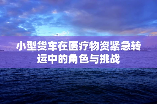 小型货车在医疗物资紧急转运中的角色与挑战