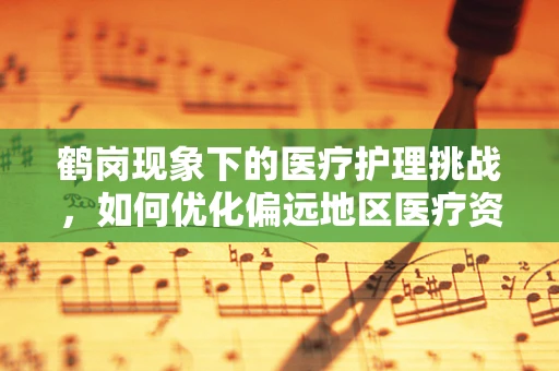 鹤岗现象下的医疗护理挑战，如何优化偏远地区医疗资源分配？