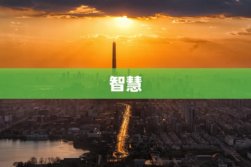 智慧