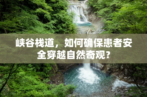 峡谷栈道，如何确保患者安全穿越自然奇观？