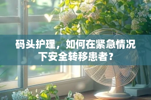 码头护理，如何在紧急情况下安全转移患者？