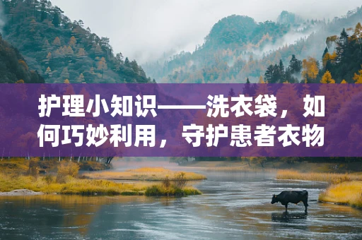 护理小知识——洗衣袋，如何巧妙利用，守护患者衣物安全？