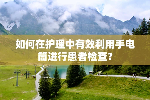 如何在护理中有效利用手电筒进行患者检查？