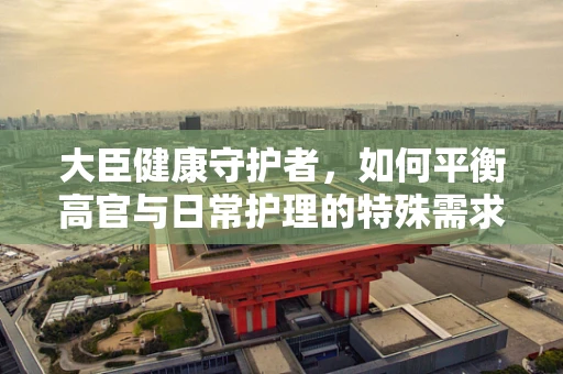大臣健康守护者，如何平衡高官与日常护理的特殊需求？