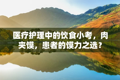 医疗护理中的饮食小考，肉夹馍，患者的馍力之选？