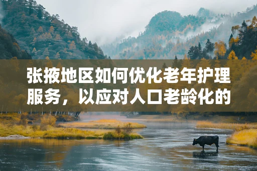 张掖地区如何优化老年护理服务，以应对人口老龄化的挑战？