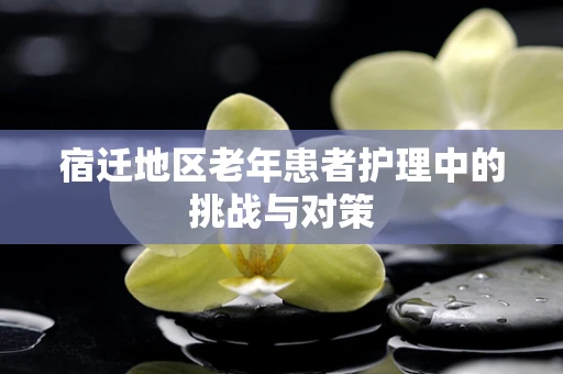 宿迁地区老年患者护理中的挑战与对策