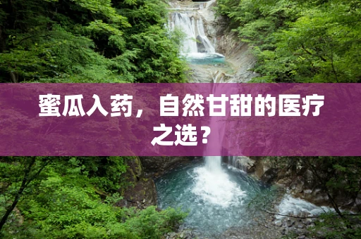 蜜瓜入药，自然甘甜的医疗之选？