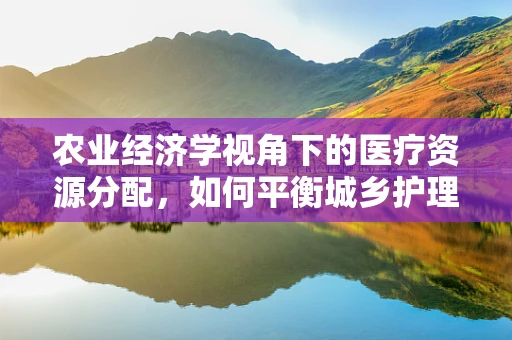 农业经济学视角下的医疗资源分配，如何平衡城乡护理资源？