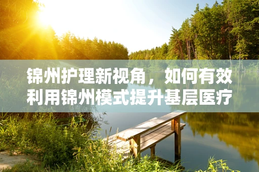 锦州护理新视角，如何有效利用锦州模式提升基层医疗服务质量？