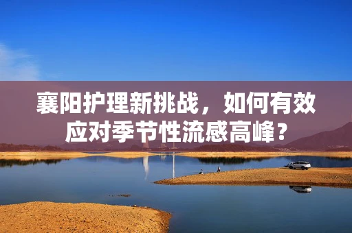 襄阳护理新挑战，如何有效应对季节性流感高峰？