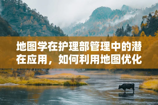 地图学在护理部管理中的潜在应用，如何利用地图优化患者流动路径？