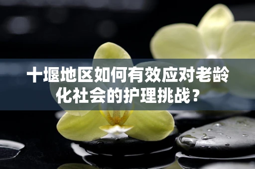 十堰地区如何有效应对老龄化社会的护理挑战？