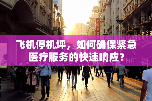 飞机停机坪，如何确保紧急医疗服务的快速响应？