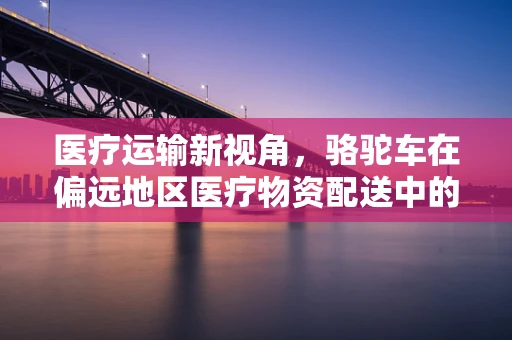 医疗运输新视角，骆驼车在偏远地区医疗物资配送中的潜力与挑战