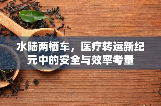水陆两栖车，医疗转运新纪元中的安全与效率考量