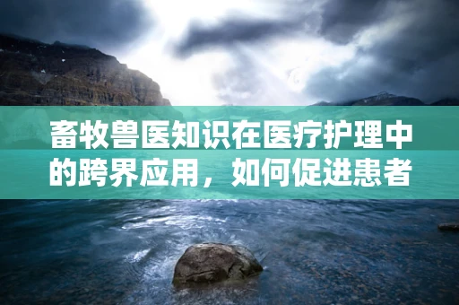 畜牧兽医知识在医疗护理中的跨界应用，如何促进患者康复？