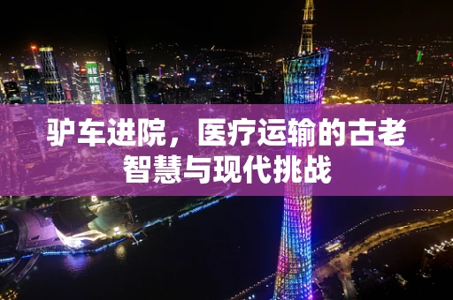 驴车进院，医疗运输的古老智慧与现代挑战