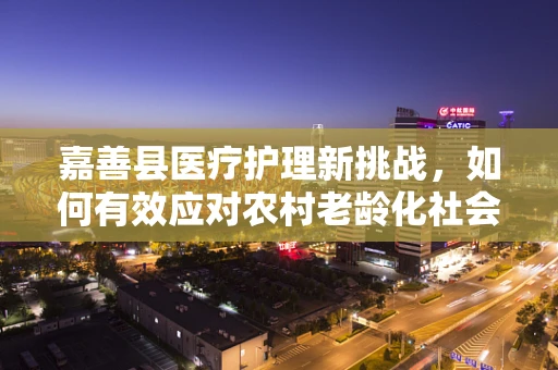 嘉善县医疗护理新挑战，如何有效应对农村老龄化社会的护理需求？