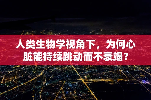 人类生物学视角下，为何心脏能持续跳动而不衰竭？