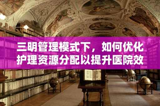 三明管理模式下，如何优化护理资源分配以提升医院效率？
