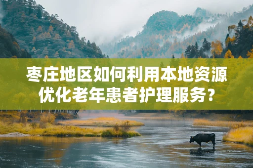 枣庄地区如何利用本地资源优化老年患者护理服务？