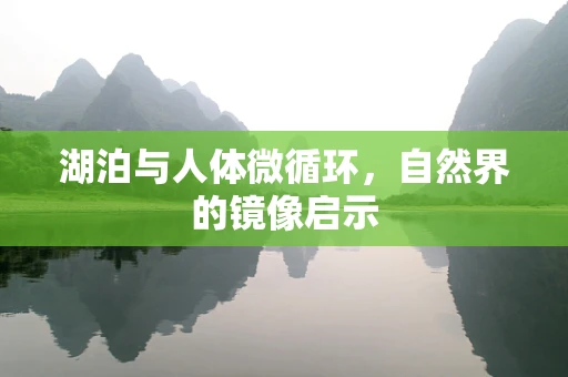 湖泊与人体微循环，自然界的镜像启示