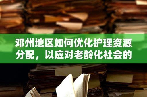 邓州地区如何优化护理资源分配，以应对老龄化社会的挑战？
