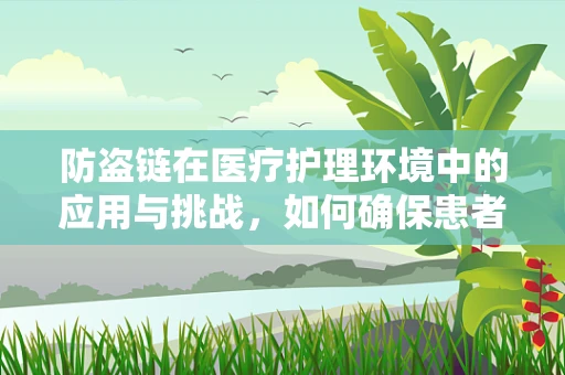 防盗链在医疗护理环境中的应用与挑战，如何确保患者安全与隐私？