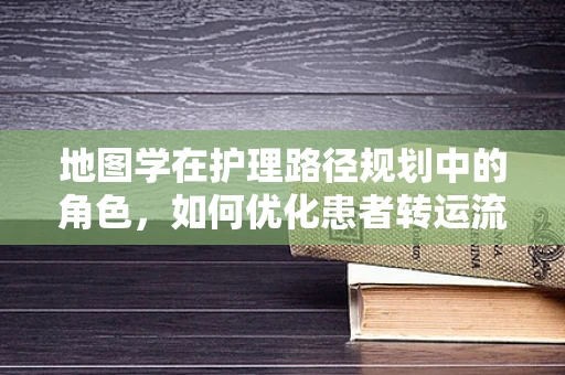 地图学在护理路径规划中的角色，如何优化患者转运流程？