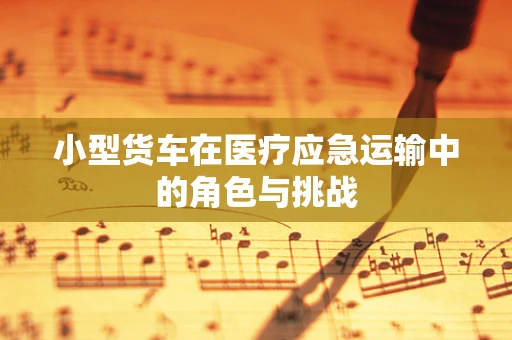 小型货车在医疗应急运输中的角色与挑战