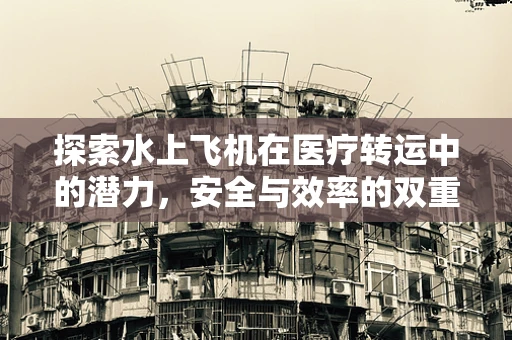 探索水上飞机在医疗转运中的潜力，安全与效率的双重考量