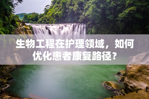 生物工程在护理领域，如何优化患者康复路径？
