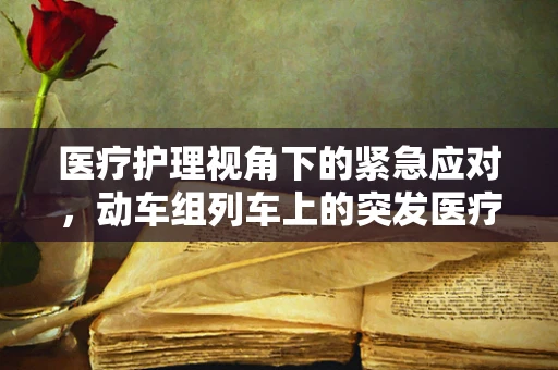 医疗护理视角下的紧急应对，动车组列车上的突发医疗事件如何高效处理？