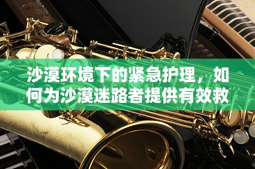 沙漠环境下的紧急护理，如何为沙漠迷路者提供有效救助？
