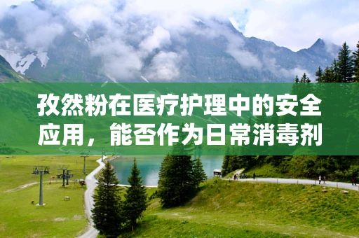 孜然粉在医疗护理中的安全应用，能否作为日常消毒剂？