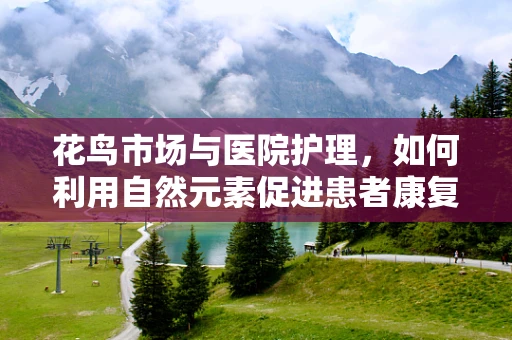 花鸟市场与医院护理，如何利用自然元素促进患者康复？