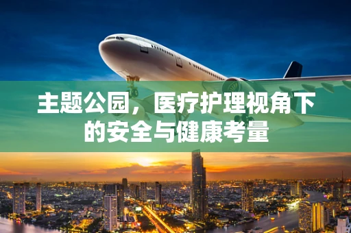 主题公园，医疗护理视角下的安全与健康考量